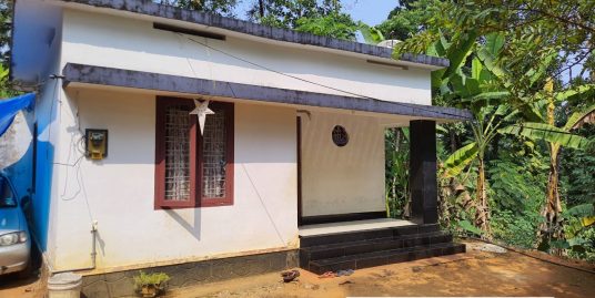 House for sale at thodupuzha