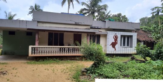 House for at thodupuzha